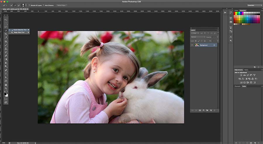 Selecting Image Background Using Quick Selection Tool