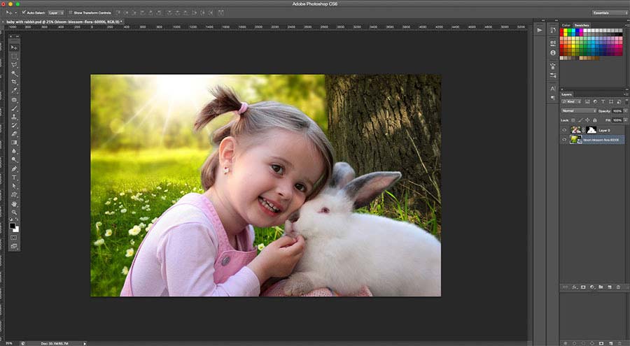 add new background to photo in Photoshop