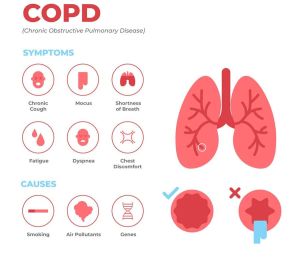 human body illustration vector