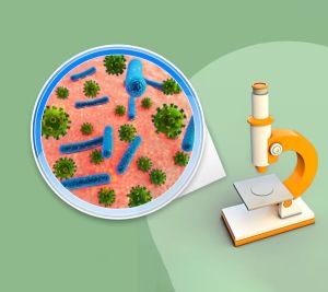 bacteria illustration drawing