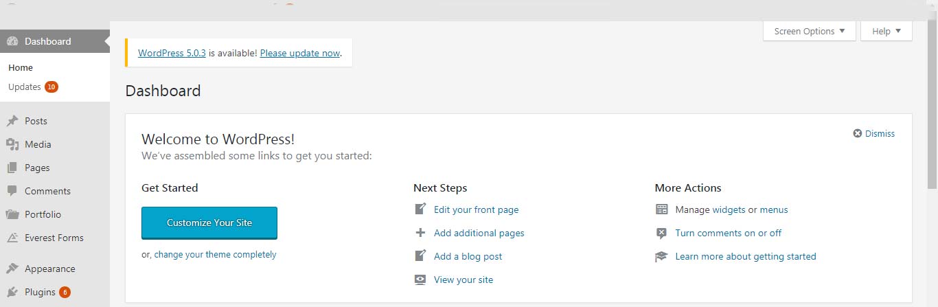 update wordpress version