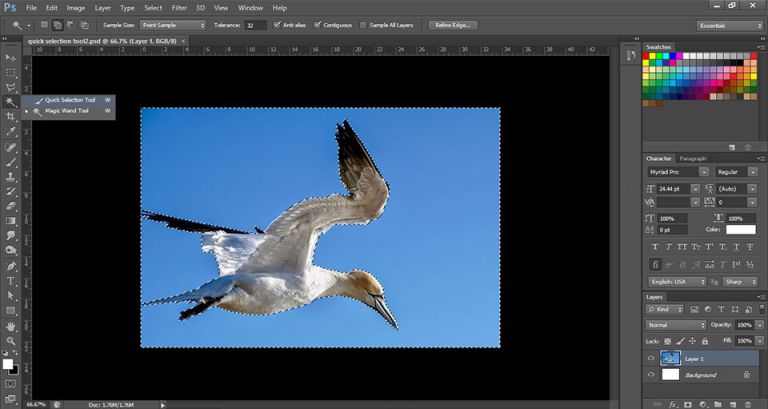 How to use the quick selection tool in photoshop easy guide