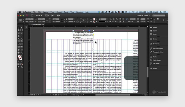 Adobe InDesign software