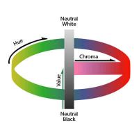 Simple Guide to Understand Color Theory and Color Wheel