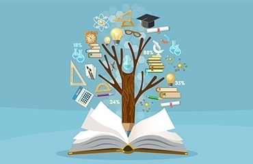 education illustration services