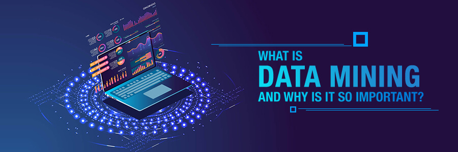 What is data mining and why is it so important?