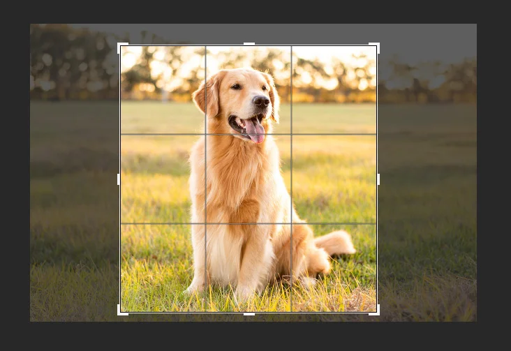 select the image with desired crop border