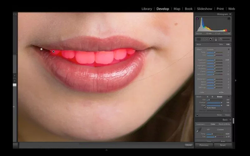 portrait teeth whitening