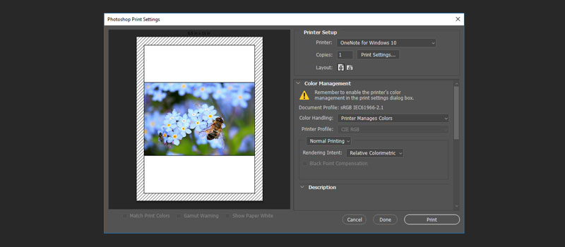 photoshop print setting