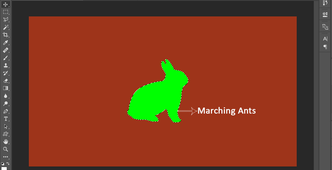 marching ants in Photoshop tools selection