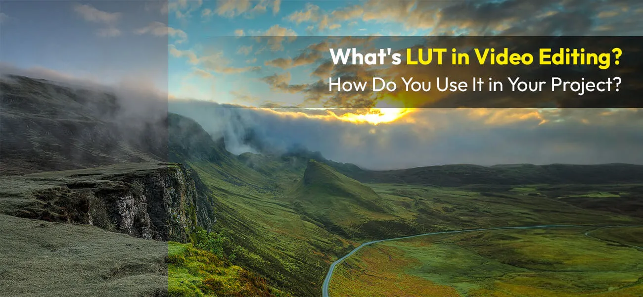 LUT in video color grading